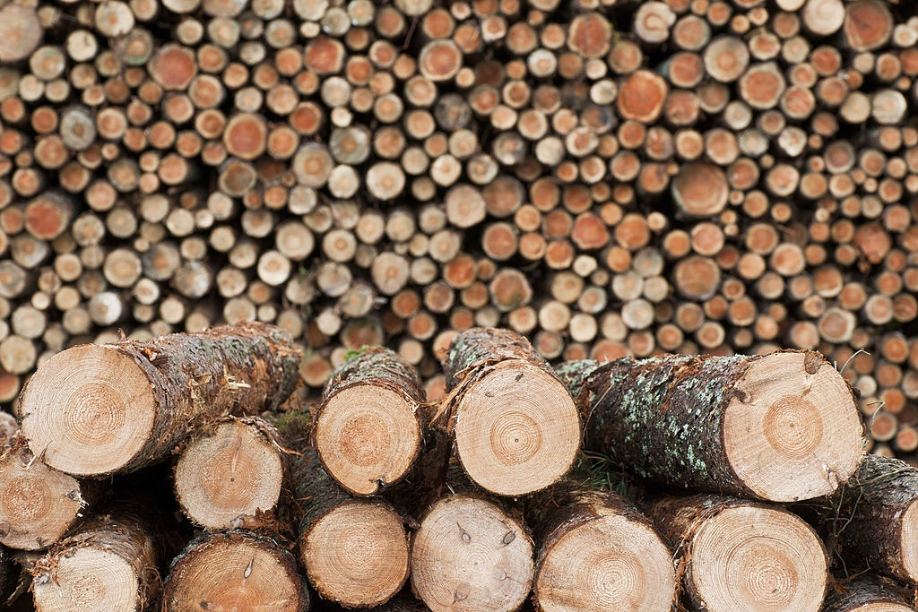 Kansas City Tree Service Pros Image